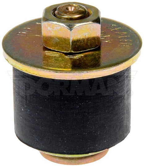 570-005.1 Engine Oil Galley Plug Dorman - Autograde Canada