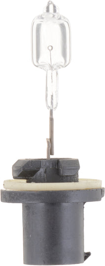 885B1 Philips Standard Fog Light 885 - Standard - Single Blister Pack Philips Bulbs