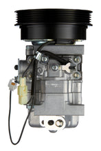 Load image into Gallery viewer, 0610149 Spectra Premium A/C Compressor Spectra Premium Canada