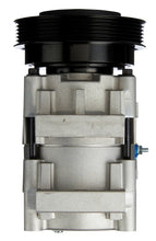 Load image into Gallery viewer, 0610196 Spectra Premium A/C Compressor Spectra Premium Canada