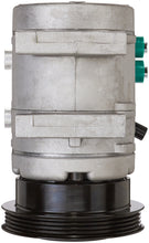 Load image into Gallery viewer, 0610348 Spectra Premium A/C Compressor Spectra Premium Canada