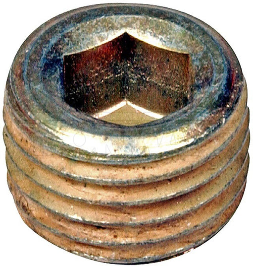 090-109 Pack Of 5 Pipe Stoppers Dorman - Autograde Canada