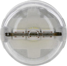 Load image into Gallery viewer, 921WLED Philips Ultinon LED 921WLED - Ultinon LED - White Philips Bulbs