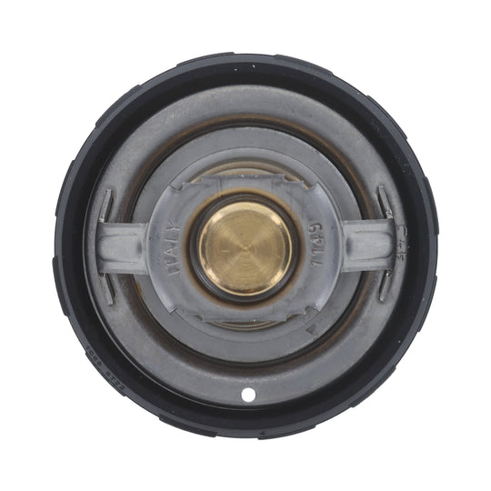 1057-203 Thermostat 203 Degrees Motorad
