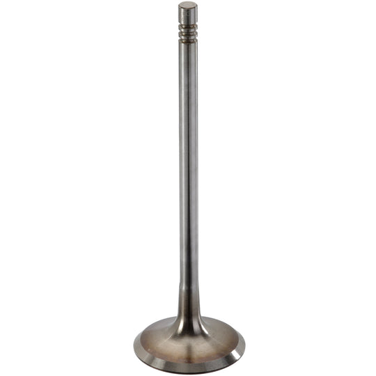 111234 Engine Intake Valve TRW Engine Components Canada