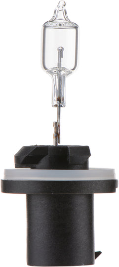 890B1 Philips Standard Fog Light 890 - Standard - Single Blister Pack Philips Bulbs