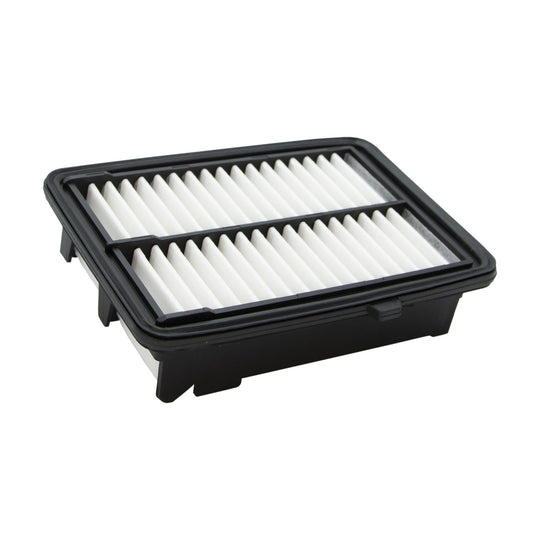 XA10424 Air Filter ECOGARD Canada