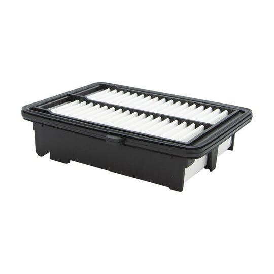 XA10424 Air Filter ECOGARD Canada