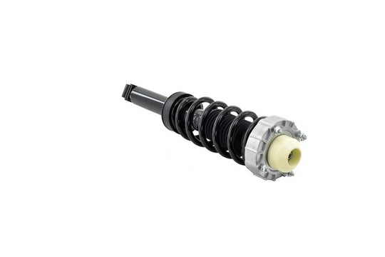 1345956 Rear Suspension Strut and Coil Spring Assembly FCS Shocks & Struts