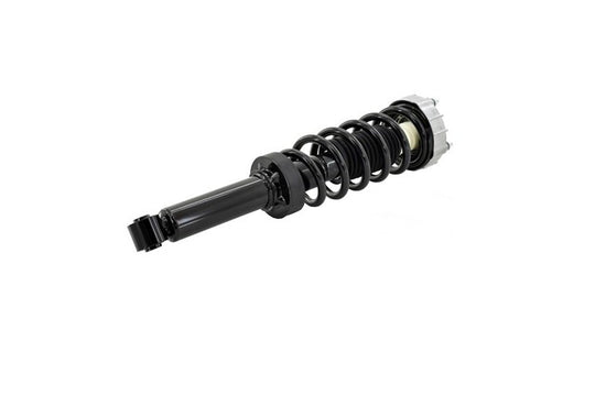 1345956 Rear Suspension Strut and Coil Spring Assembly FCS Shocks & Struts
