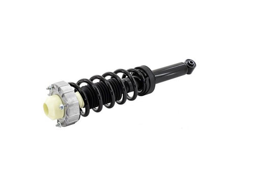 1345956 Rear Suspension Strut and Coil Spring Assembly FCS Shocks & Struts