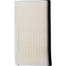 Load image into Gallery viewer, XA12024 Air Filter ECOGARD Canada