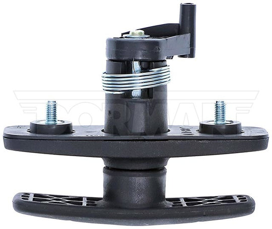 15780 Liftgate Latch Handle Dorman - HELP Canada