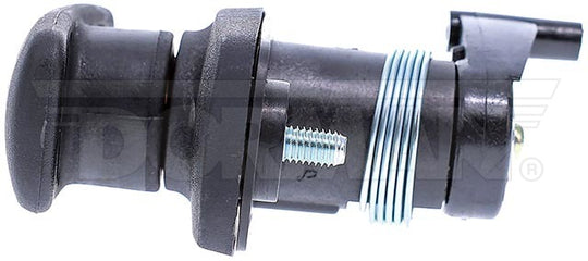 15780 Liftgate Latch Handle Dorman - HELP Canada