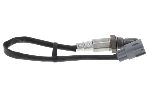 16606 Oxygen Sensor Bosch Canada