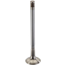 Load image into Gallery viewer, 171126 Engine Exhaust Valve TRW Engine Components Canada