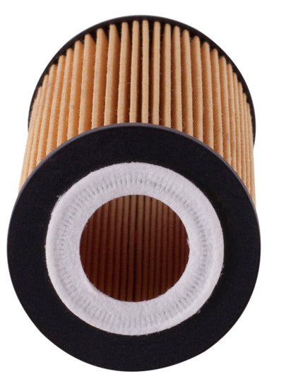 X5909 Engine Oil Filter ECOGARD Canada