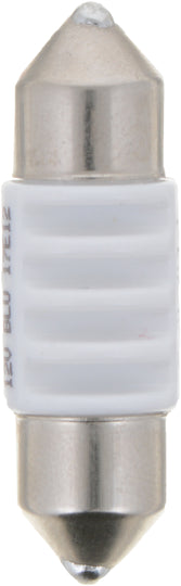 DE3175BLED Philips Ultinon LED DE3175BLED - Ultinon LED - Blue Philips Bulbs