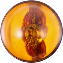 Load image into Gallery viewer, 168NALLB2 Philips LongerLife Miniature 168LL - LongerLife - Twin Blister Pack Philips Bulbs