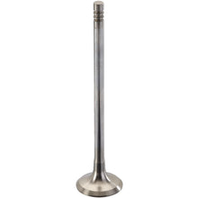 Load image into Gallery viewer, 181118 Engine Exhaust Valve TRW Engine Components Canada