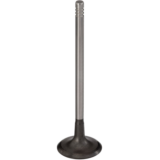 181120 Engine Intake Valve TRW Engine Components Canada