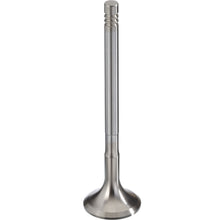 Load image into Gallery viewer, 181122 Engine Exhaust Valve TRW Engine Components Canada