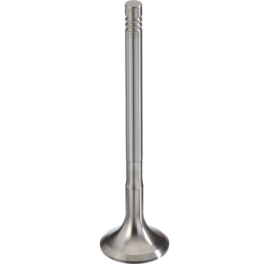 181122 Engine Exhaust Valve TRW Engine Components Canada
