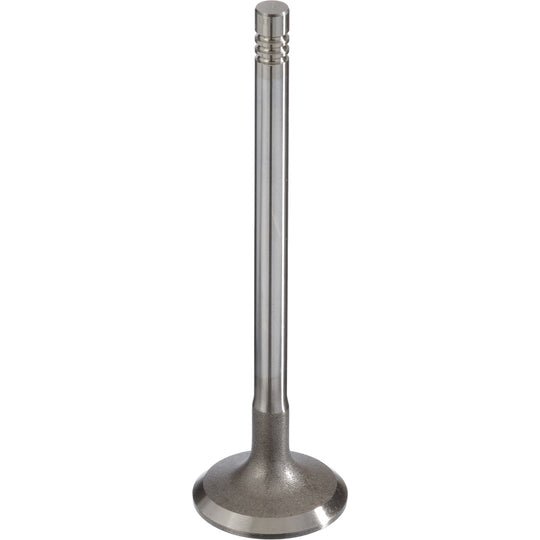 181123 Engine Intake Valve TRW Engine Components Canada