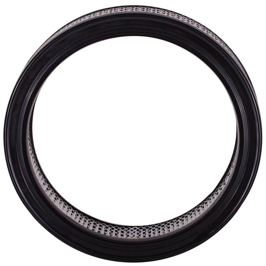 XA10027 Air Filter ECOGARD Canada