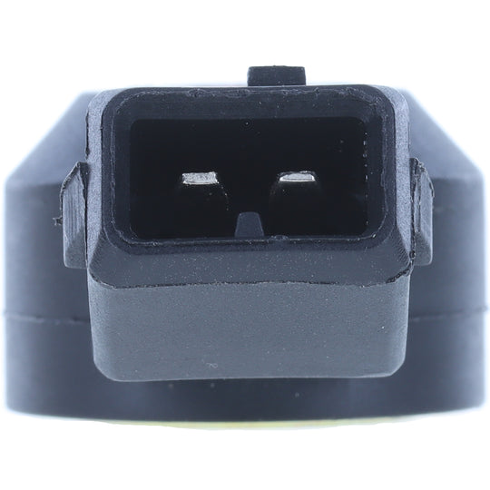 1KS1101 Ignition Knock (Detonation) Sensor BFNG