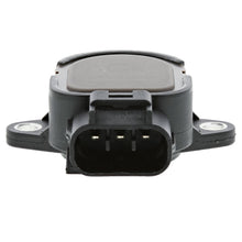 Charger l'image dans la galerie, 1TP1032 Throttle Position Sensor Motorad