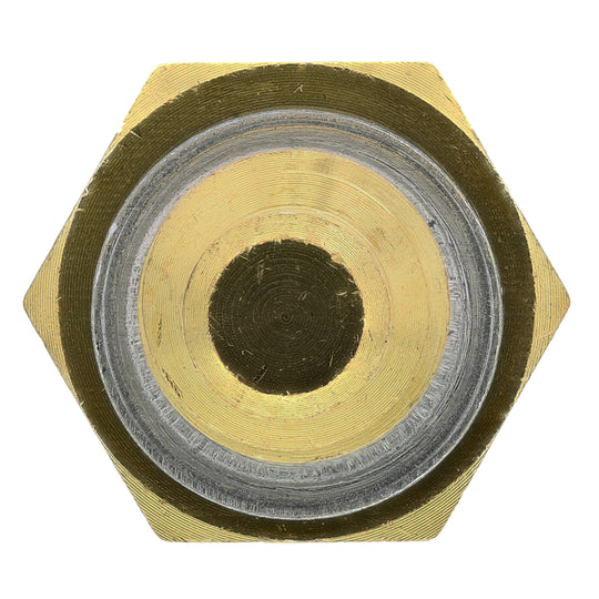 1TS1110 Engine Coolant Temperature Sensor with Washer Motorad