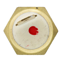 Charger l'image dans la galerie, 1TS1118 Engine Coolant Temperature Sensor with O Ring Motorad