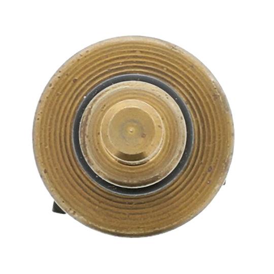 1TS1172 Engine Coolant Temperature Sensor with O Ring Motorad