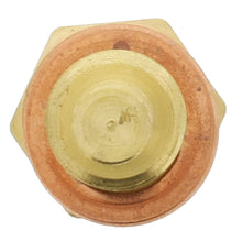 Load image into Gallery viewer, 1TS1196 Engine Coolant Temperature Sensor with Washer Motorad