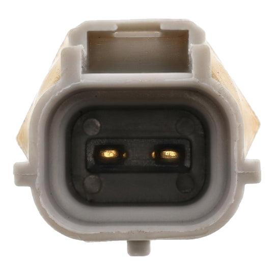 1TS1221 Temperature Sender With Gauge and Thread Sealant Motorad