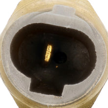 Charger l'image dans la galerie, 1TS1227 Temperature Sender With Gauge Motorad