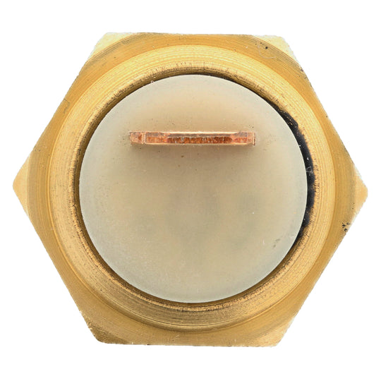 1TS1313 Temperature Sender With Gauge Motorad