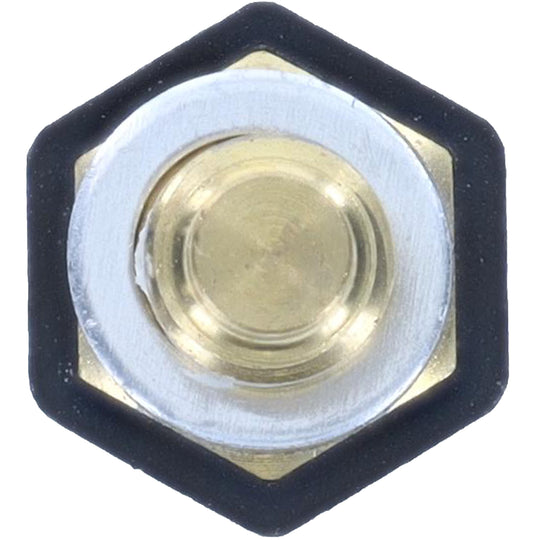 1TS1489 Engine Coolant Temperature Sensor with washer BFNG