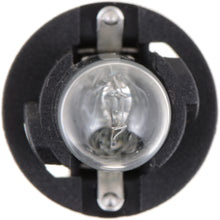 Load image into Gallery viewer, PC161B2 Philips Standard Minature PC161 - Standard - Twin Blister Pack Philips Bulbs