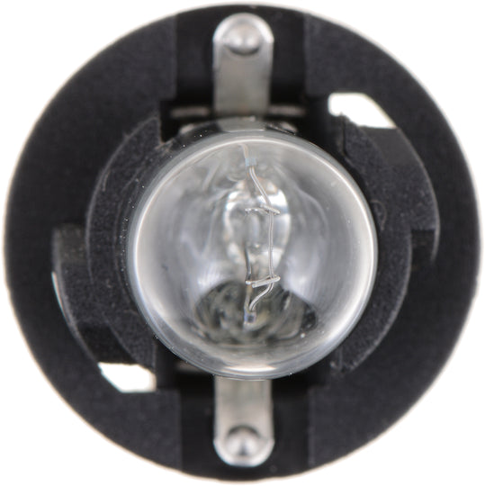 PC161B2 Philips Standard Minature PC161 - Standard - Twin Blister Pack Philips Bulbs
