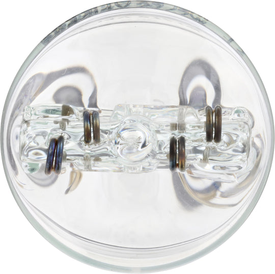 7444CP Philips Standard Miniature 7444CP - Standard - Multiple Commercial 10-Pack Philips Bulbs