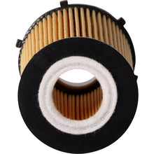 Load image into Gallery viewer, S10259 Synthetic Engine Oil Filter ECOGARD Canada