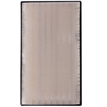 Charger l'image dans la galerie, XA5043 Air Filter ECOGARD Canada