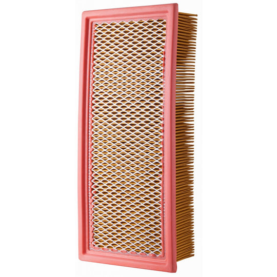 XA5569 Air Filter ECOGARD Canada