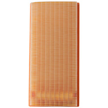 Load image into Gallery viewer, XA6198 Air Filter ECOGARD Canada