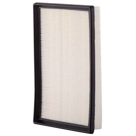 XA10224 Air Filter ECOGARD Canada