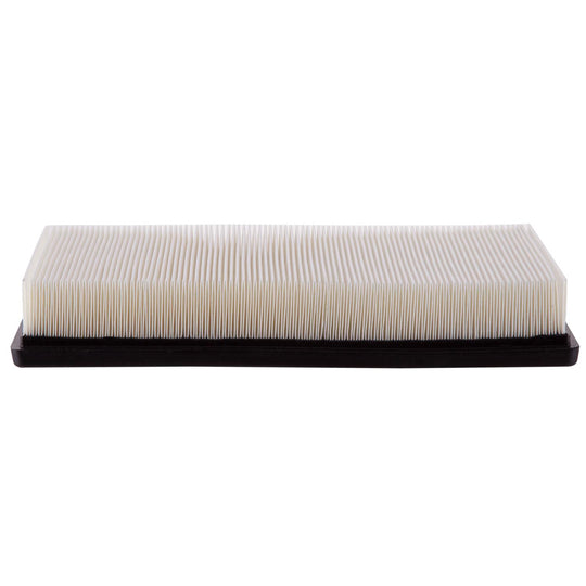 XA10224 Air Filter ECOGARD Canada