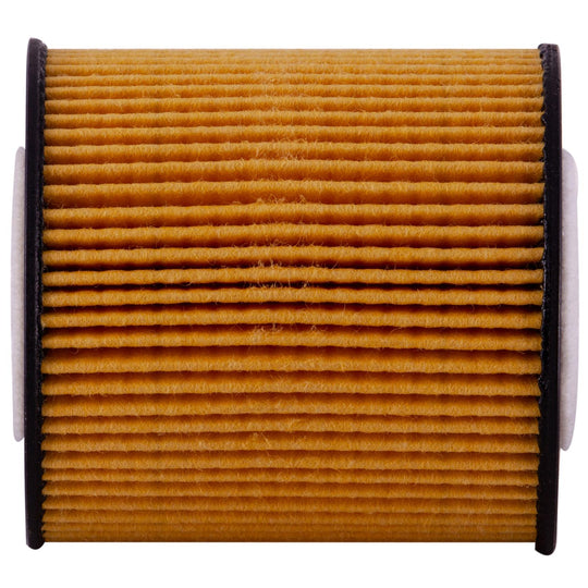 S5315 Synthetic Engine Oil Filter ECOGARD Canada