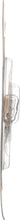 Load image into Gallery viewer, 24B2 Philips Standard Miniature 24 - Standard - Twin Blister Pack Philips Bulbs
